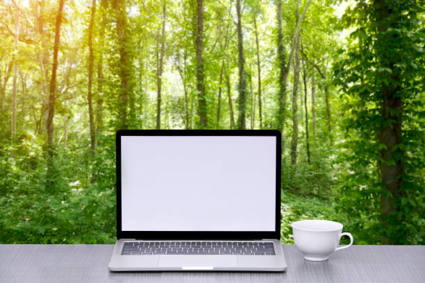 istock Laptop computer with defocus of green forest background. 1338355562