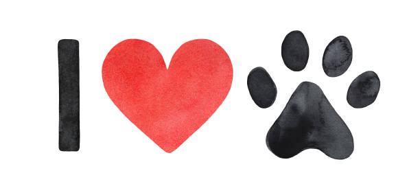 귀여운 동물 발 프린트와 "나는 사랑"텍스트의 수채화 그림. - purebred dog 이미지 stock illustrations