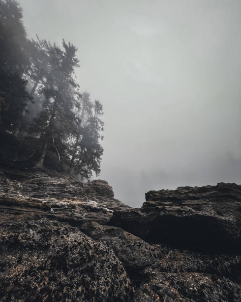 istock Foggy coastal morning 1338360322