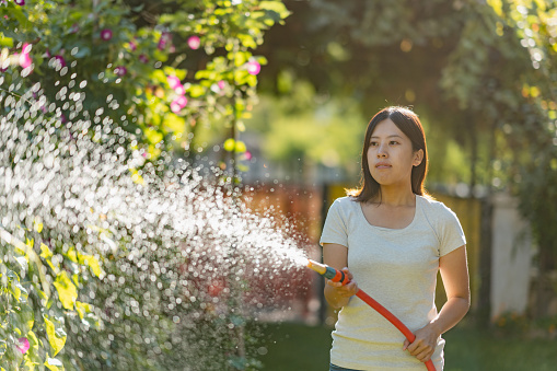 A young woman is watering the garden in the back yard of her house.