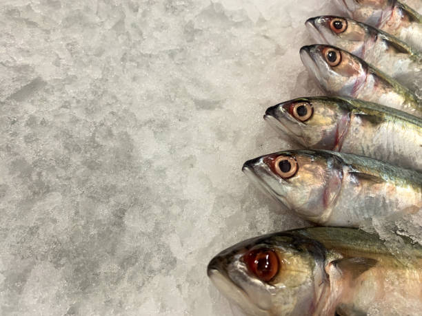 istock Fresh fish neatly arranged on cold ice at a market. 1338365802
