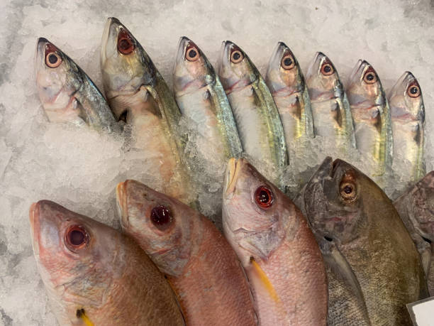 istock Fresh fish neatly arranged on cold ice at a market. 1338365810