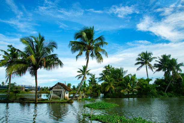 istock Backwaters photography - A small old hut under coconut palm trees during day time 1338365859