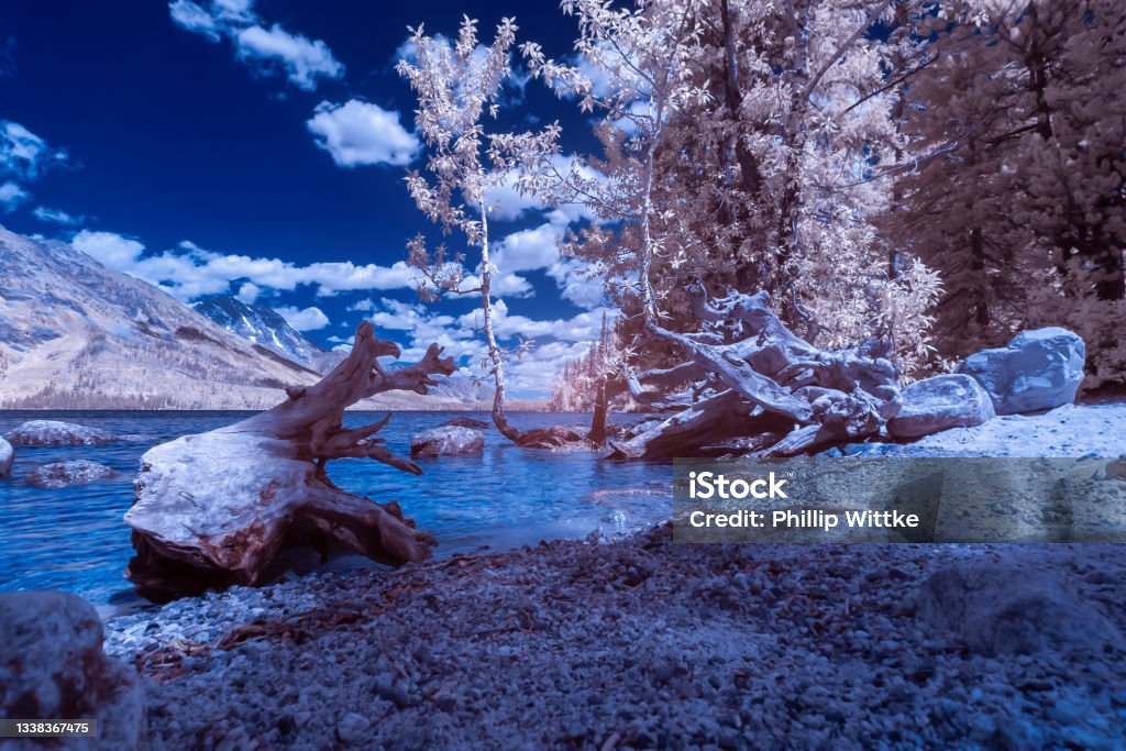 Infrared photograph of a lake and mountain range Infrared photograph of a lake and mountain range in Grand Teton National Park in Wyoming Infrared Stock Photo