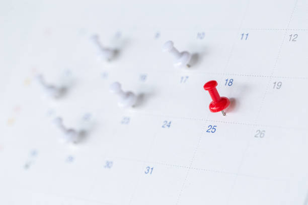 istock Planner and organizer to plan and reminder daily appointment, meeting agenda, schedule, timetable, and management, event , holiday . 1338367604