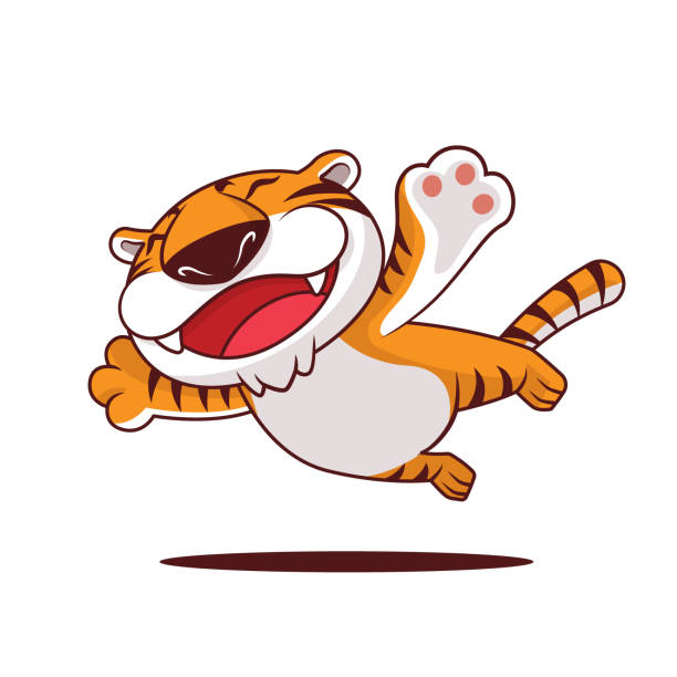 Cartoon cute tiger spread arms and flying high. Vector character Cartoon cute tiger spread arms and flying high. Vector character two heads are better than one stock illustrations