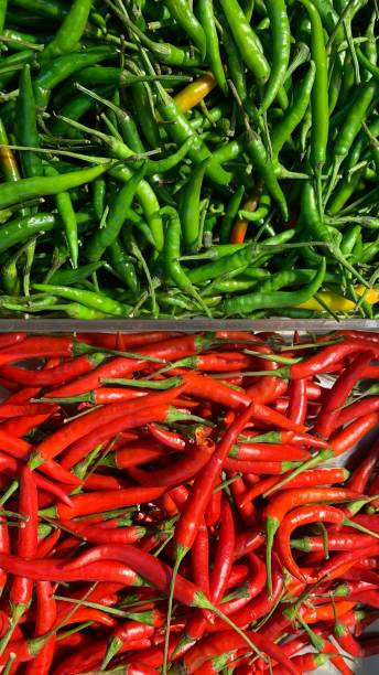 istock Red And Green Chili 1338368747