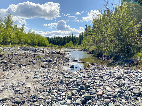 The creek is slowly drying up in Interior Alaska.  The beauty of Alaska still surrounds this area.