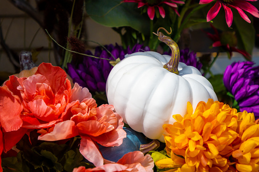 A white pumpkin awash in sunlight in an outdoor decorative arrangement with seasonal autumn flowers.