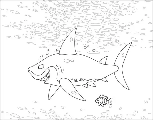 Vector illustration of Great white shark and a small striped fish