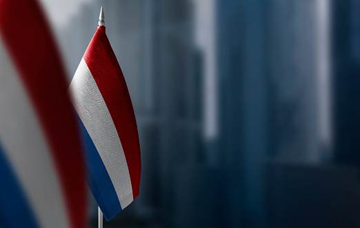 Small flags of Netherlands on a blurry background of the city.