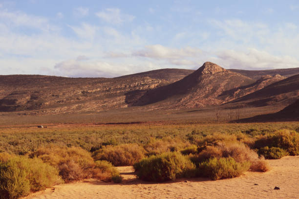 istock Arid landscape South Africa 1338384408