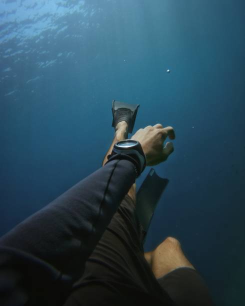 Free diver point of view