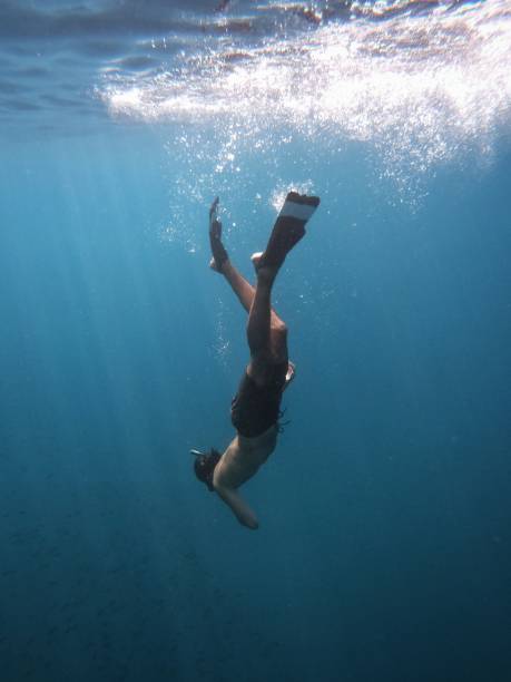 hombre con snorkel buceando bajo la superficie del mar - aleta equipo de buceo fotografías e imágenes de stock