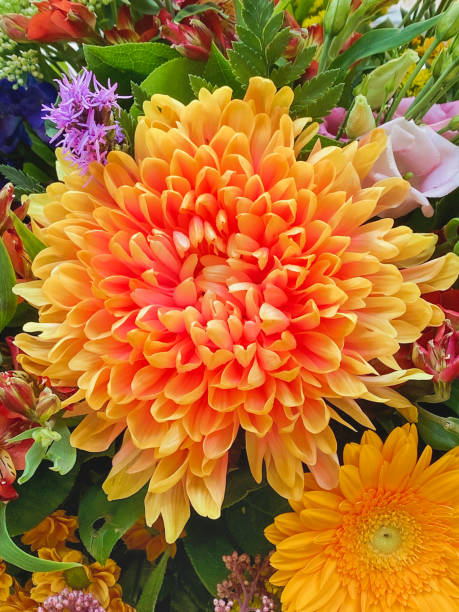 istock Bouquet of flowers 1338390376
