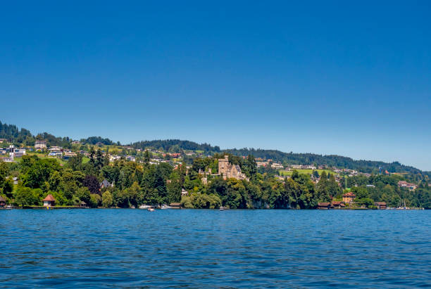 istock Shore landscape on Lake Lucerne, Switzerland 1338391422