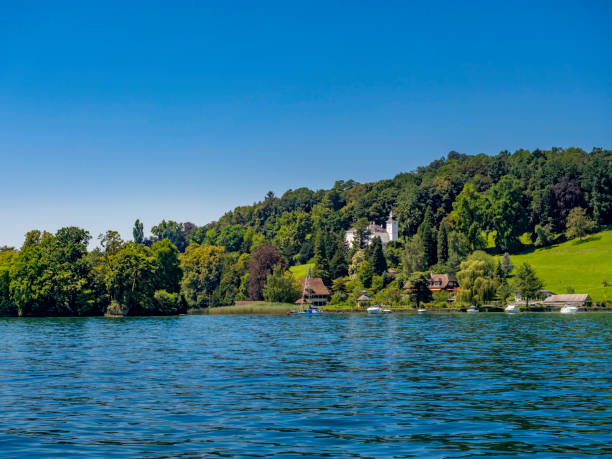 istock Shore landscape on Lake Lucerne, Switzerland 1338391483
