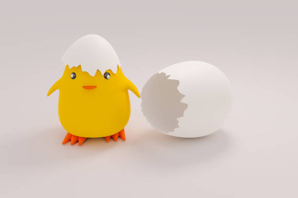Little yellow chicken has just hatched from an egg, with a shell on its head, isolated on a white background