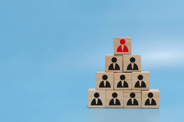 istock Human resource. boss icon on wooden cube block on top pyramid stack on blue background with copy space, creative, business management, team leader, business strategy, human resource management concept 1338392391