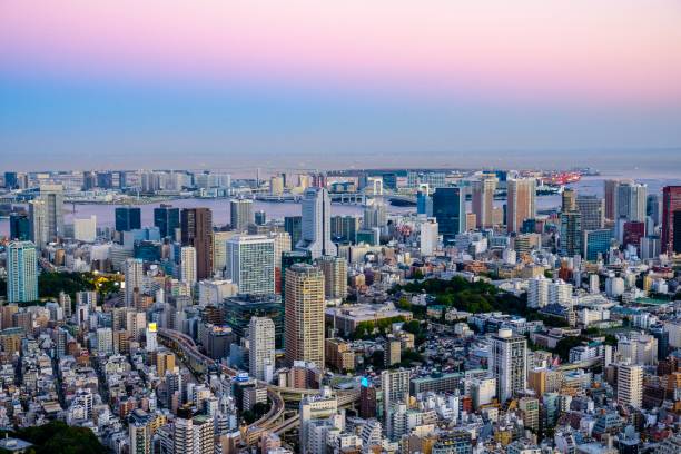 istock Tokyo’s cityscape 1338393297