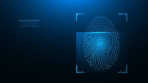 illustrazioni stock, clip art, cartoni animati e icone di tendenza di concetto di identificazione delle impronte digitali. illustrazione vettoriale poligonale della scansione di dati biometrici su uno sfondo blu scuro. - biometrics accessibility control fingerprint