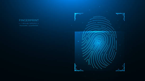 ilustrações, clipart, desenhos animados e ícones de conceito de identificação de impressões digitais. ilustração de vetor poligonal de digitalização de dados biométricos em um fundo azul escuro. - biometrics