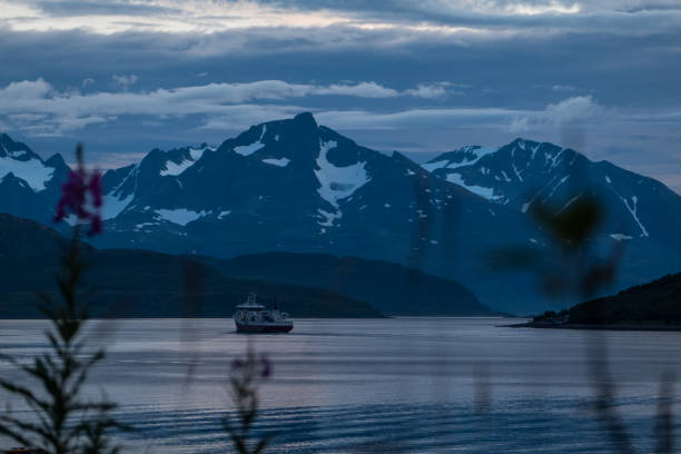 istock Fishing boat coming to harbour 1338393840