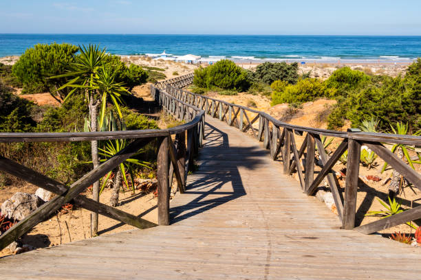 산티 페트리, 카디스의 라 바로사 해변까지 의통로 이용 - cadiz andalusia beach spain 뉴스 사진 이미지