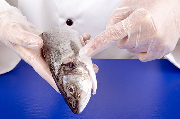 istock female chef shows with her index finger 133839865