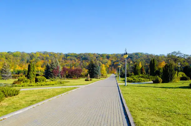 Beautiful autumn park. Autumn in Kyiv. Autumn trees and leaves. Autumn Landscape.Park in Autumn. Forest in Autumn