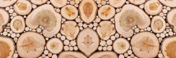 istock wooden background with texture of many tree trunks 1338399308