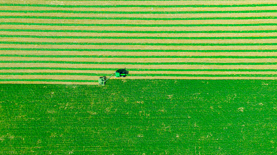 Above top view on tractor as pulling grass cutting machinery over field of clover, cutting alfalfa in straight lines.