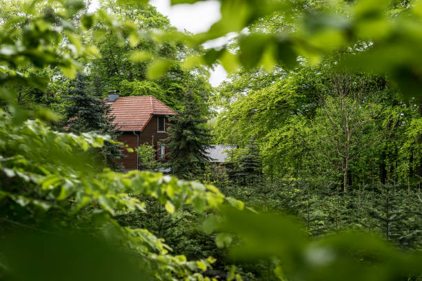 istock A hut in the Palatinate Forest 1338404198
