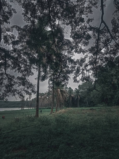 istock Cinematic Nature And Dramatic Weather 1338405307