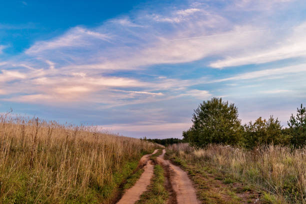 landscape with a dirt road in a field in an autumn evening stock photo