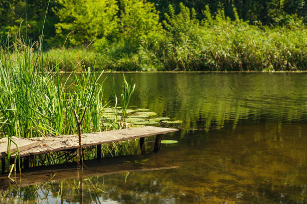 small old pier on the river bank. Beautiful view of nature