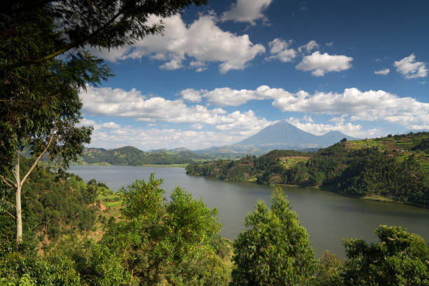 istock Lake Mulehe, Uganda, Africa 1338409422