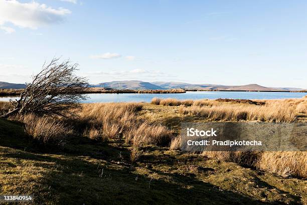 Keepers Pond Stock Photo - Download Image Now - Autumn, Brecon Beacons, Color Image