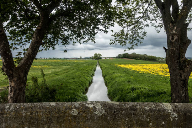 un fossato di drenaggio nel donaumoos - fosso foto e immagini stock