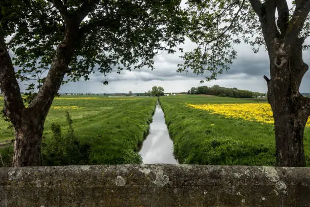 Photo of A drainage ditch in the Donaumoos