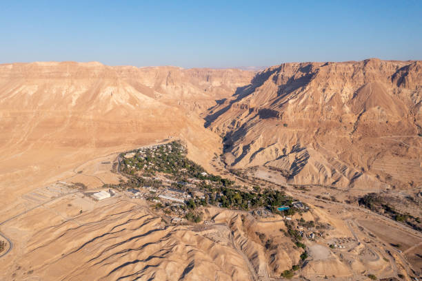 Aerial view of Kibbutz Ein Gedi oasis and nature reserve. stock photo