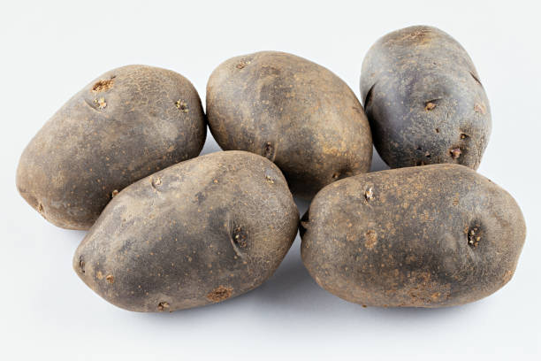 istock Fresh purple potatoes isolated on a white background. 1338414279