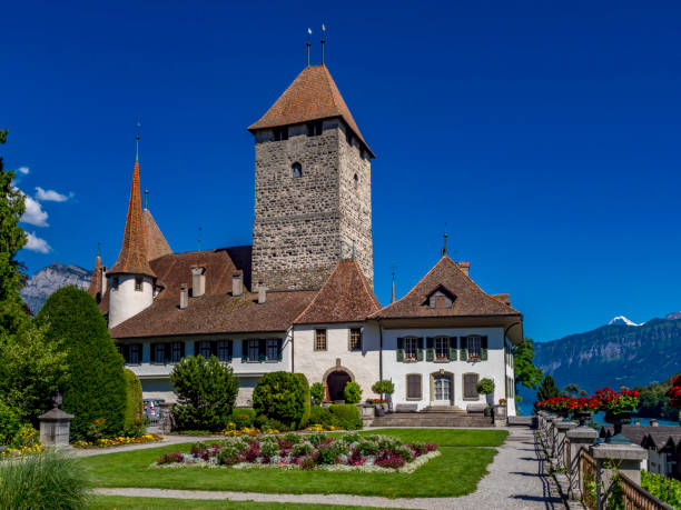 castillo de spiez, lago thun, oberland bernés, suiza - lake thun swiss culture berne castle fotografías e imágenes de stock