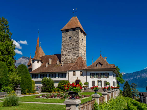 castello di spiez, lago di thun, oberland bernese, svizzera - lake thun swiss culture switzerland berne foto e immagini stock