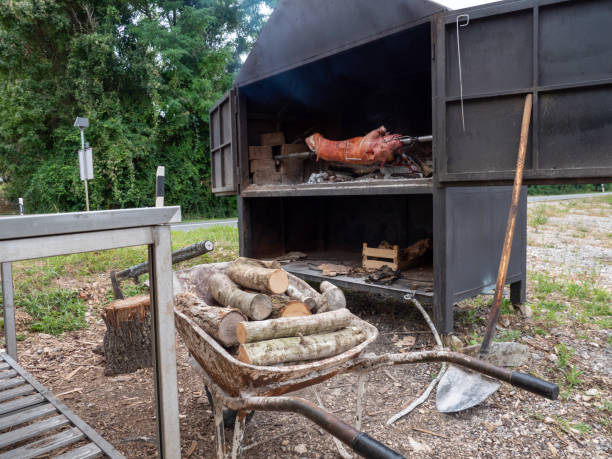 istock Suckling pig in a charcoal grill 1338416071