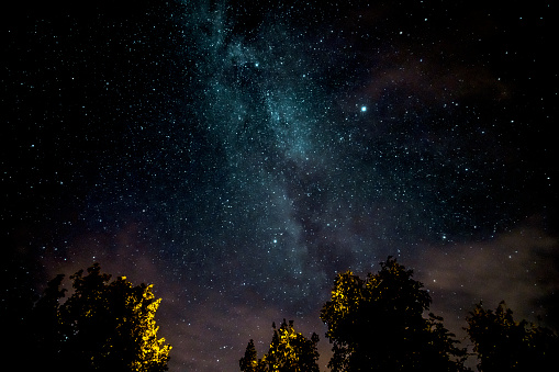 Milk way at night in forest.