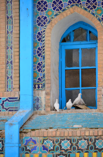 fenster mit persischen fliesen (qashani) und weißen tauben - schrein von ali (hazrat ali mazar), mazar-i-sharif, provinz balkh, afghanistan - mazar stock-fotos und bilder