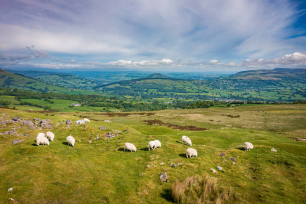 istock Llangynidr Mountain and quarry 1338421937