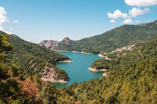 Lac de Tolla and the village of Tolla in Corsica surrounded by pine forest