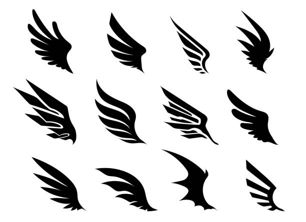 wing collection - 動物翅膀 幅插畫檔、美工圖案、卡通及圖標